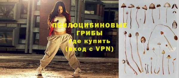 стафф Балахна